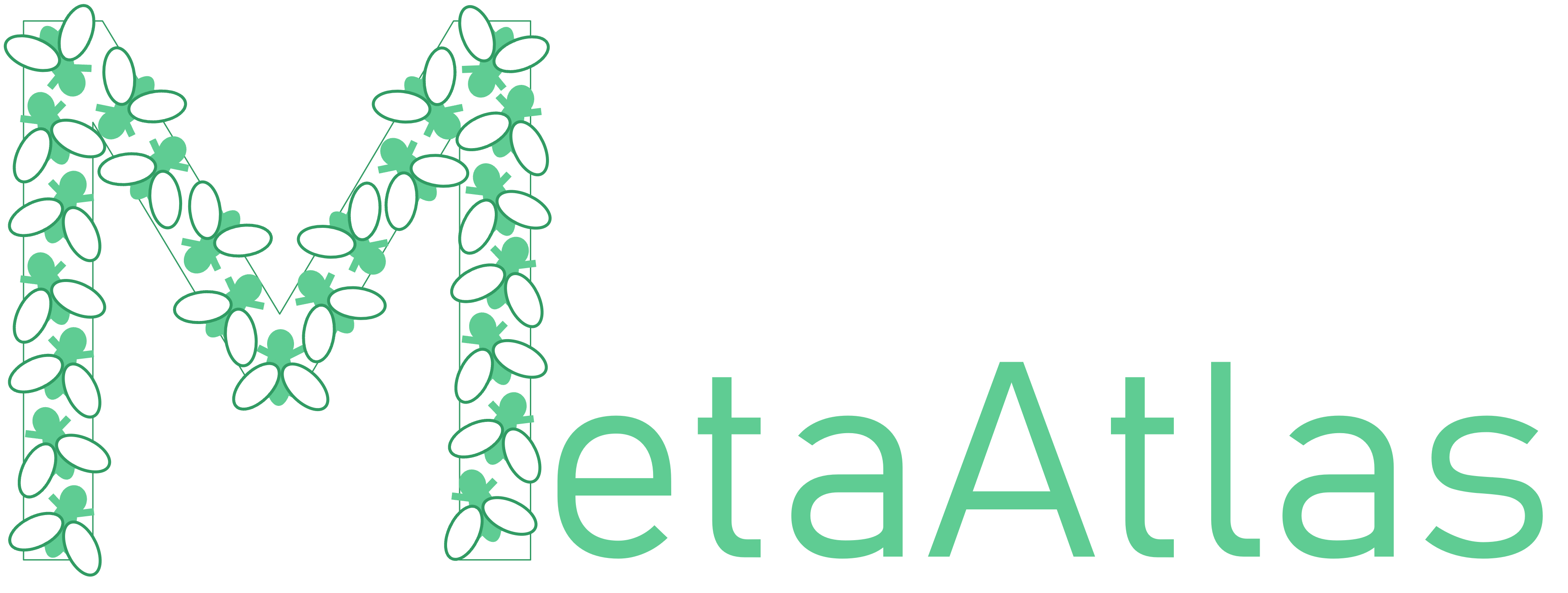 MetaAtlas Logo